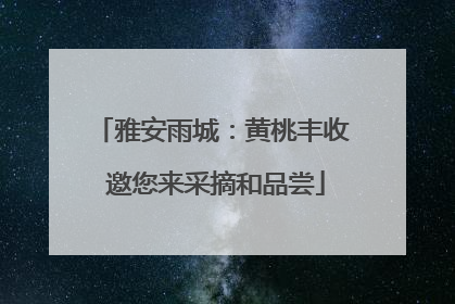 雅安雨城：黄桃丰收 邀您来采摘和品尝